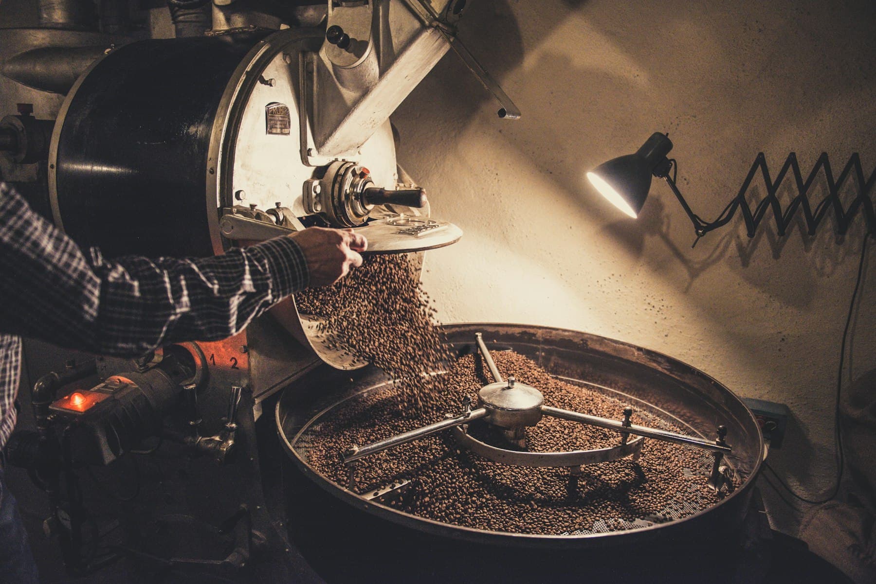 Bramble's second-hand 5kg drum roaster emptying a fresh batch into the cooling tray under a work lamp